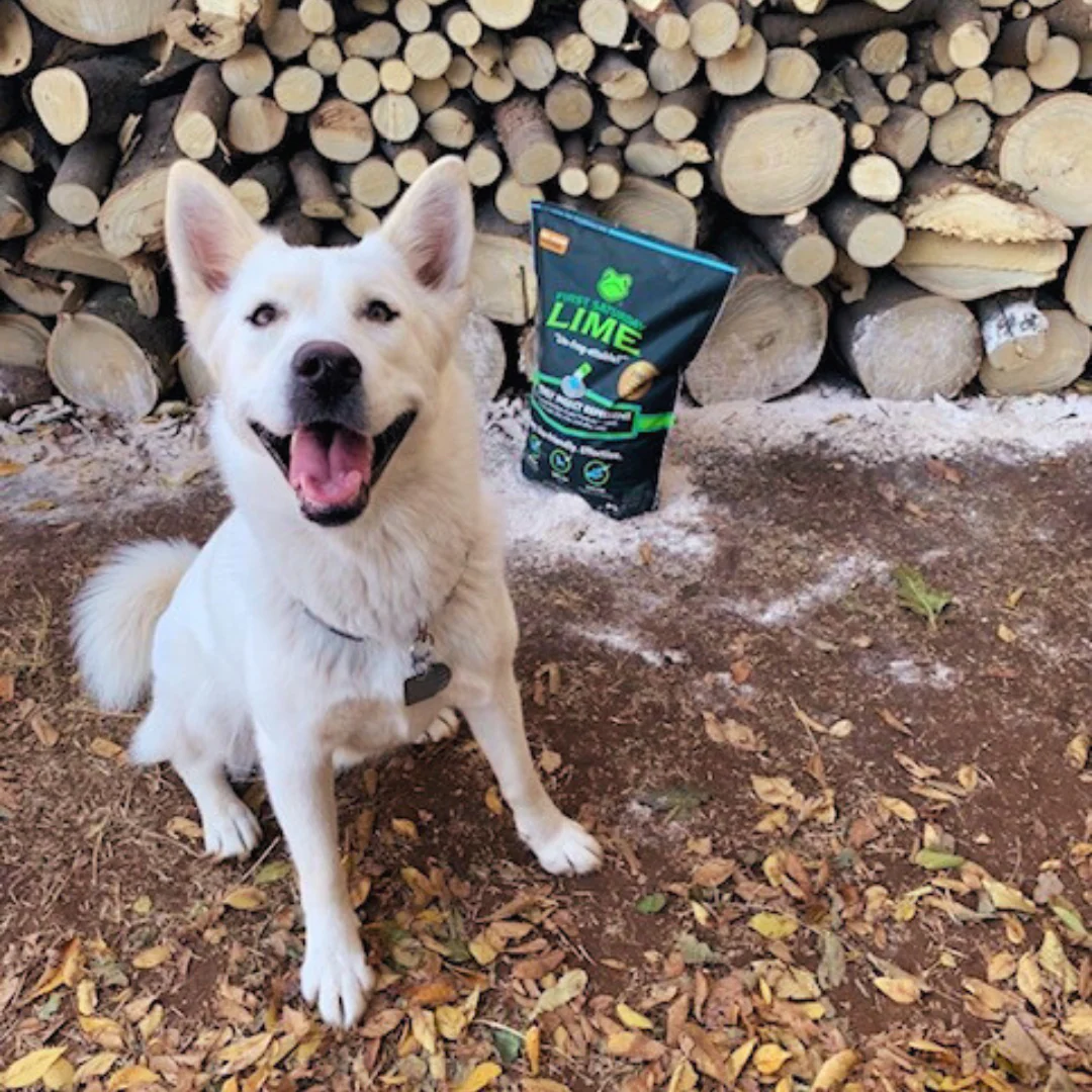 First Saturday Lime Insect Repellent （20 pound bag）